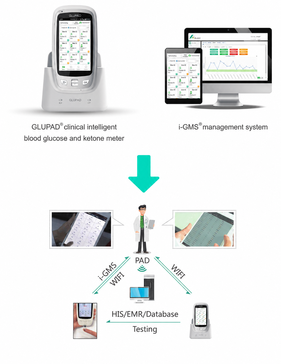 Glupad glucose and ketone testing and BPPAD blood pressure measurement connected through i-GMS to hospital systems